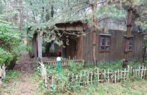 На Львівщині через борги та самочинні споруди громаді повернули 0,8 га лісу