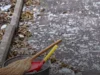 У Львові через блокування Казначейством затримують зарплати двірникам і транспортникам