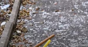 У Львові через блокування Казначейством затримують зарплати двірникам і транспортникам