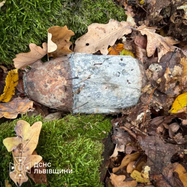 image На Львівщині грибники та будівельники виявили артснаряди минулих воєн
