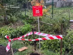На Львівщині знищили два боєприпаси часів Другої світової війни