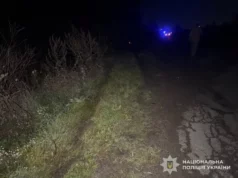 Поблизу села Калитяки на Львівщині в ДТП загинув водій, двоє пасажирів травмовані