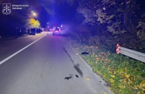 На Дрогобиччині п’яний водій збив двох жінок: одна загинула