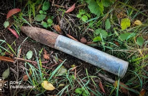 У селі Зіболки на Львівщині знищили артснаряд часів Другої світової