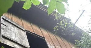 На Львівщині судитимуть жінку, яка смертельно травмувала знайомого, та двох очевидців
