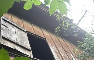 На Львівщині судитимуть жінку, яка смертельно травмувала знайомого, та двох очевидців
