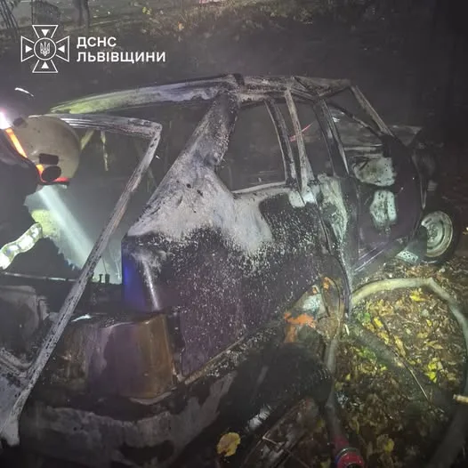 image У Трускавці рятувальники загасили палаючий автомобіль ВАЗ