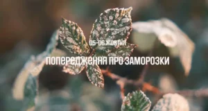 На Львівщині 5–6 жовтня очікують заморозки до 0–2°
