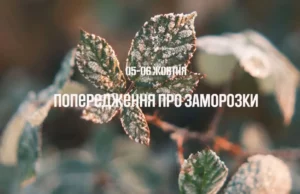 (Українська) На Львівщині 5–6 жовтня очікують заморозки до 0–2° На Львівщині 5–6 жовтня очікують заморозки до 0–2°