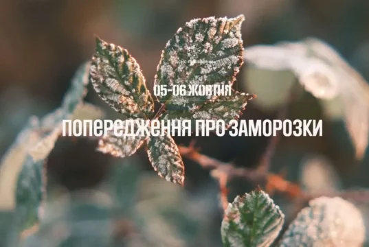 На Львівщині 5–6 жовтня очікують заморозки до 0–2°
