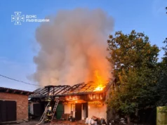 У Кам’янці-Бузькій під час пожежі в господарській будівлі врятували тварин і гараж