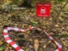 На Львівщині грибники натрапили на два боєприпаси часів Другої світової війни