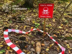 На Львівщині грибники натрапили на два боєприпаси часів Другої світової війни