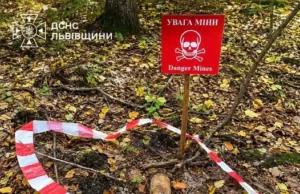 На Львівщині грибники натрапили на два боєприпаси часів Другої світової війни