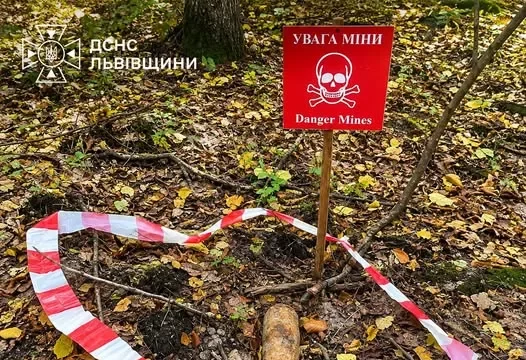 На Львівщині грибники натрапили на два боєприпаси часів Другої світової війни