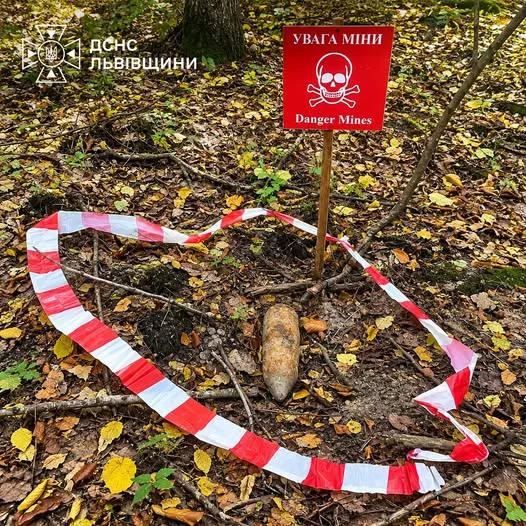 image На Львівщині грибники натрапили на два боєприпаси часів Другої світової війни