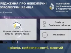 На Львівщині 9 жовтня очікують грози та посилений вітер