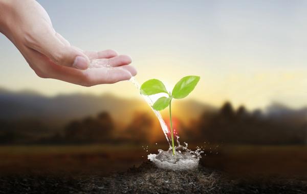 засоби захисту рослин